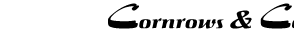Bacde1e3 e31b 41a2 81cf e4c7a02e93ca